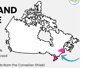 <p>Great Lakes–St. Lawrence Lowlands</p>