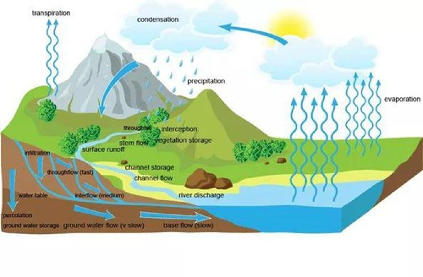 <p>The continuous movement of water on, above, and below the surface of the Earth.</p>