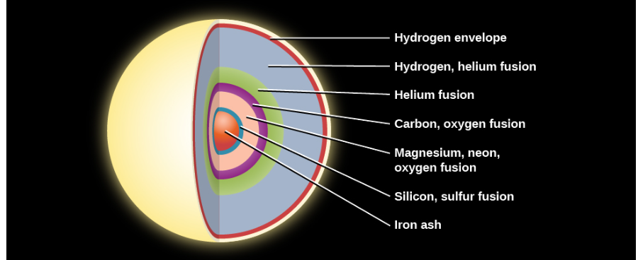 <ul><li><p>massive stars </p></li><li><p><span>The outer layers of a star with a mass greater than about 8 solar masses have a weight that is enough to compress the carbon-oxygen core until it becomes hot enough to ignite fusion of carbon nuclei. Carbon can fuse into still more oxygen, and at still higher temperatures, oxygen and then neon, magnesium, and finally silicon can build even heavier elements.</span></p></li><li><p><span>Iron is, however, the endpoint of this process.</span></p><ul><li><p>fusion of iron atoms produces products more massive than the nuclei being fused and therefore the process requires energy as opposed to releasing energy </p></li></ul></li></ul><p></p>