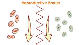 <p>the existence of biological factors (barriers) that impede two different species from producing viable, fertile offspring; keeps two species from interbreeding</p>