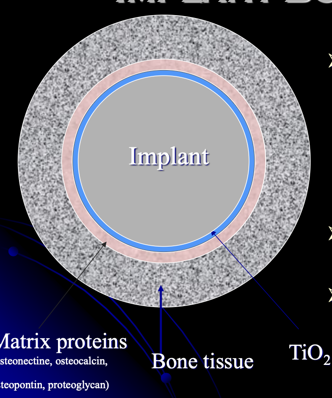 <p>What is the implant and bone contact?</p>