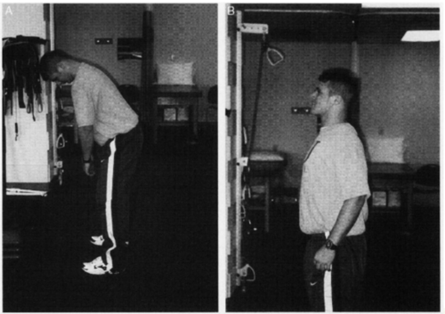 <p>What exercise is this?</p>