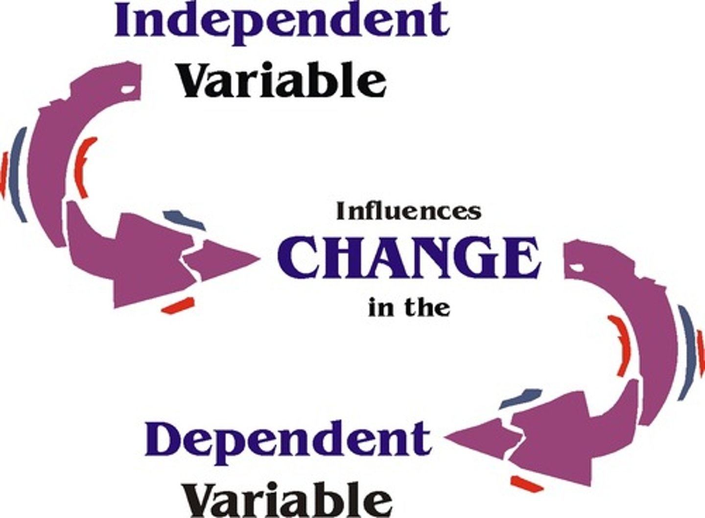 <p>Manipulated variable in an experiment</p>