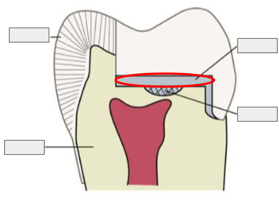 <p>What is this?</p>