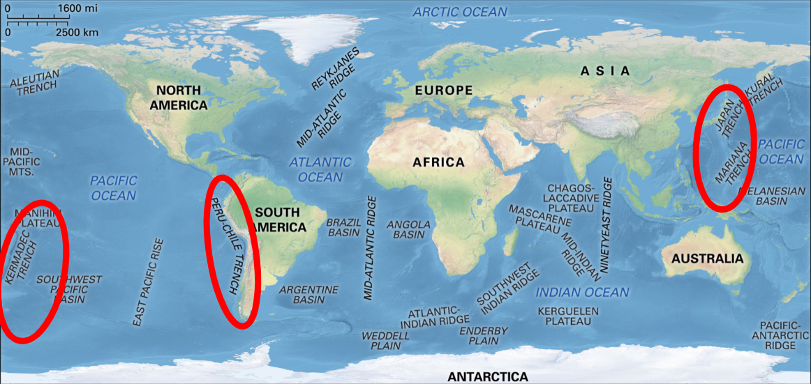 * Long, narrow, steep sided depression in the bottom of the ocean associated with max depths from 7300m-11000m
* Form at subduction zones when one plates subducts under another
* some of the oldest oceanic crust is found in trenches

  \
