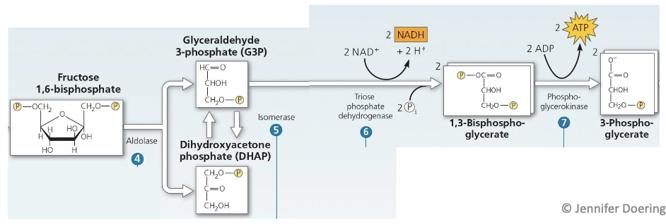 <p>Explain what’s happening here</p>