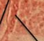 <p>What is this arrow pointing to?</p>