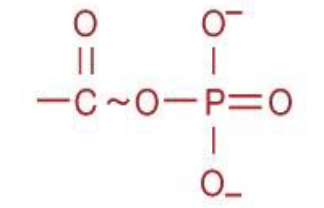 <ul><li><p>functional group</p></li><li><p>Source: energy metabolism; ex: acetylphosphate</p></li></ul><p></p>