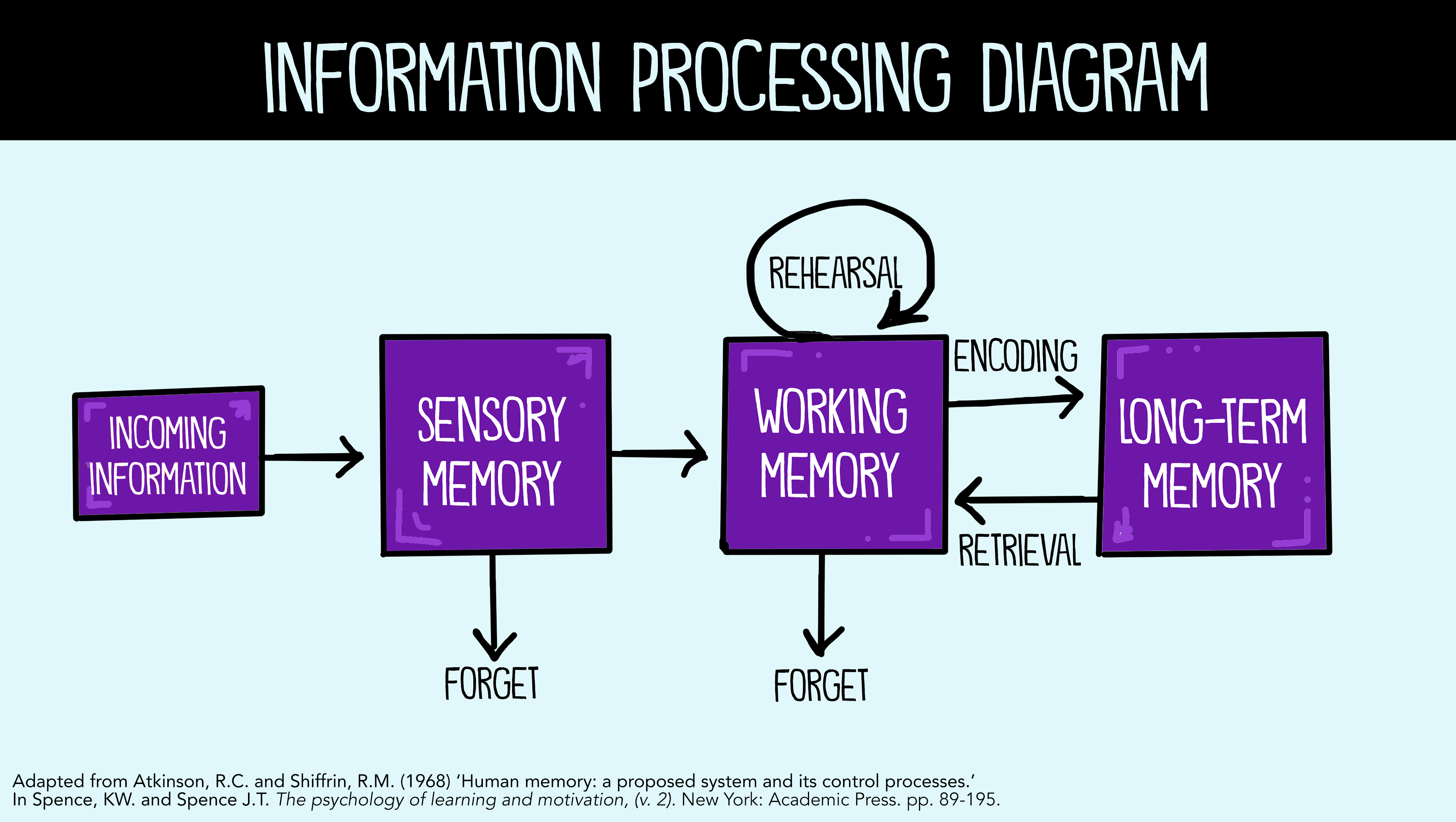 <p>Human memories have 3 separate parts</p><ul><li><p>sensory memory</p></li><li><p>short-term(active/working) memory</p></li><li><p>Long-term memory</p></li></ul>