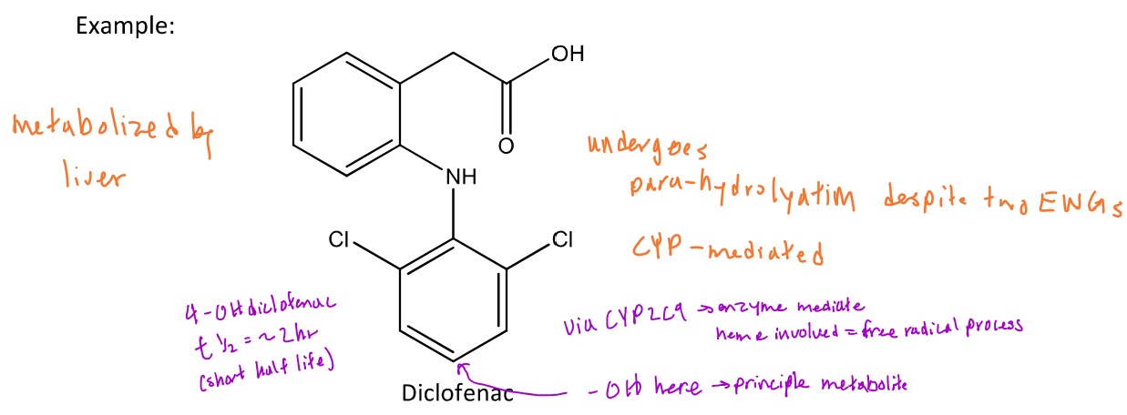 <p>In diclofenac, aromatic (para) hydroxylation will occur at the para position of each aromatic ring which is enzyme mediated <em>(CYP2C9)</em> </p><p>-The final product will be <em>4-OH diclofenac</em> which has a <em>1/2 life = 2 hours</em> because of high metabolic clearance</p>