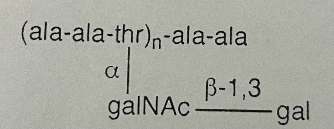 <p>antifreeze protein</p>
