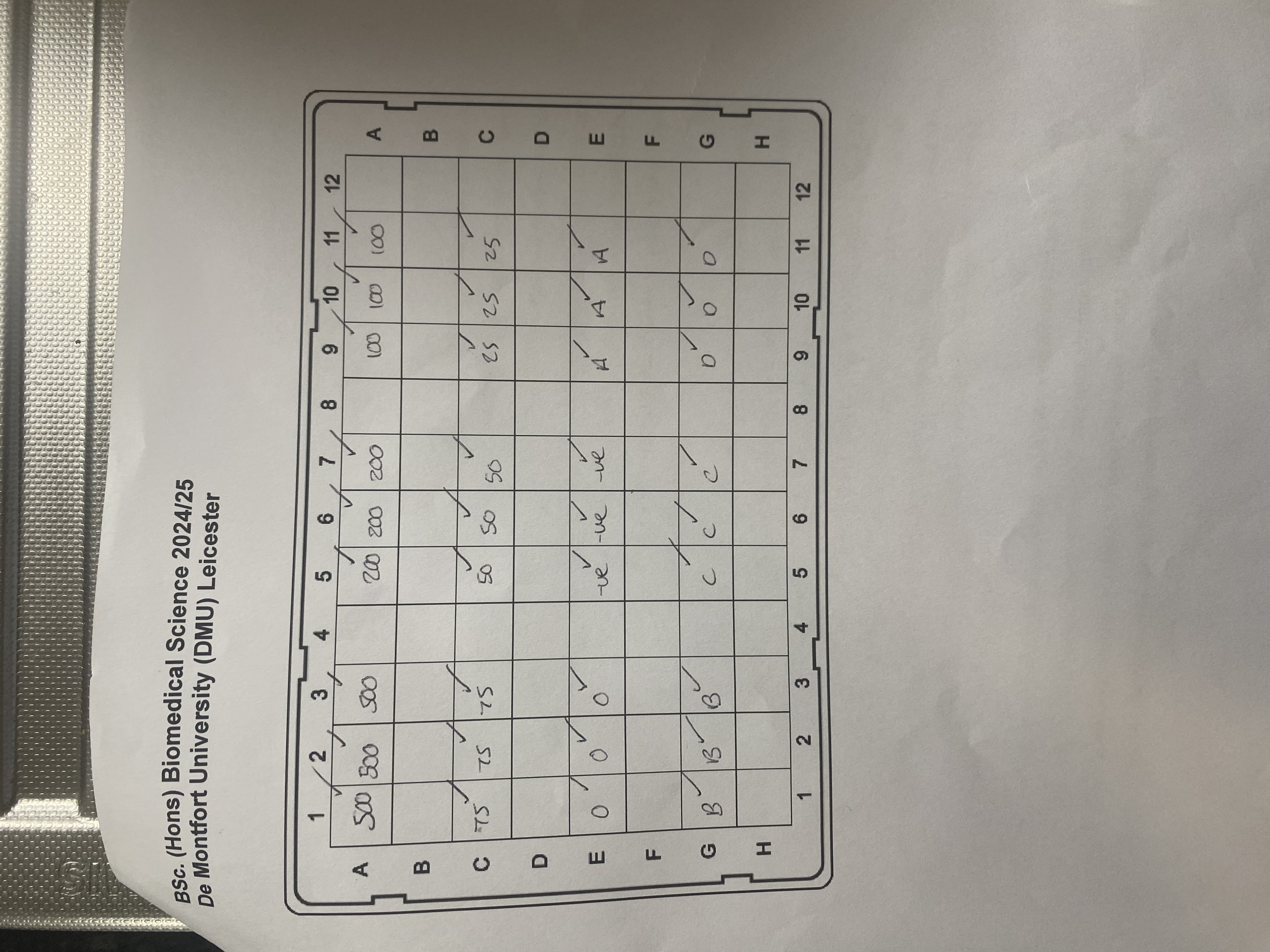 Layout of ELISA wells