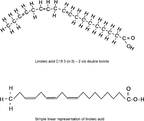 <p>-Formed by double bonds -Prevents fatty acids from packing tightly -Keeps them liquid at room temperature</p>
