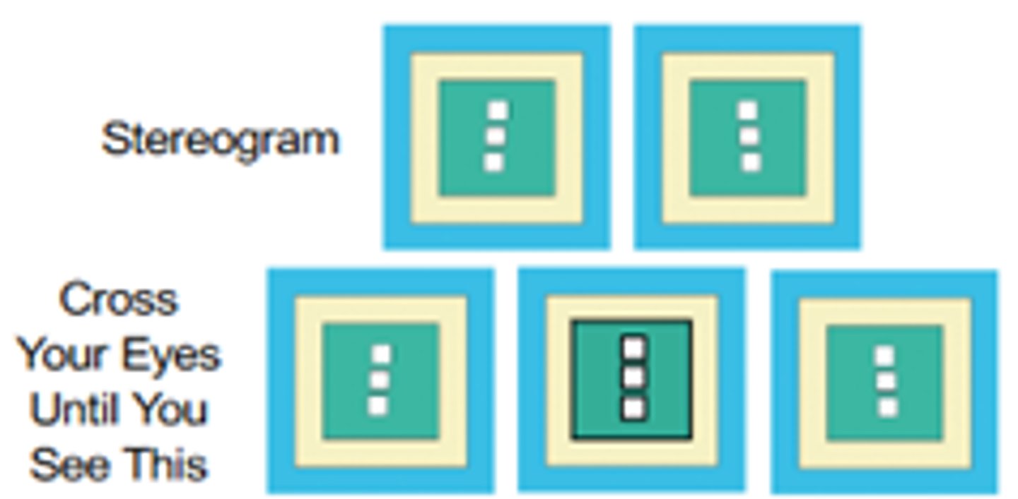 <p>The technique of converging (crossing) or diverging (uncrossing) the eyes in order to view a stereogram without a stereoscope.</p>