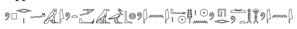 term image