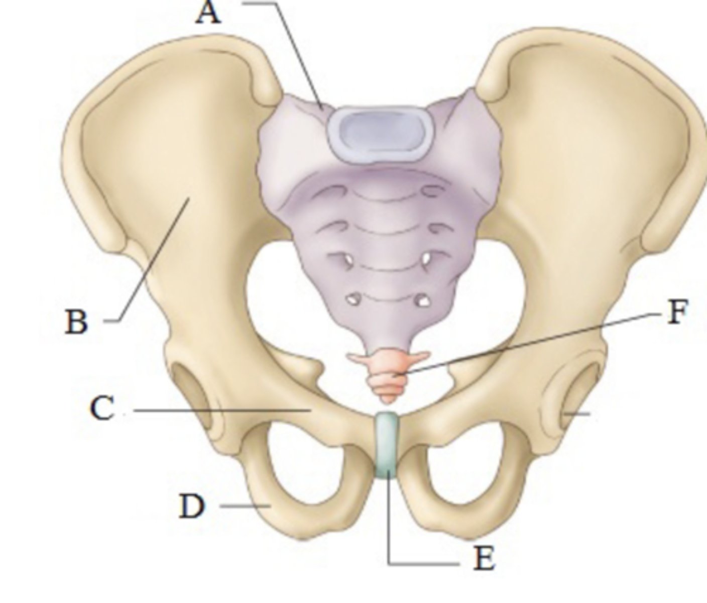<p>Illium </p>