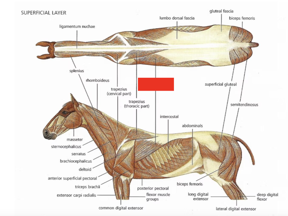 <p>What is this?</p>