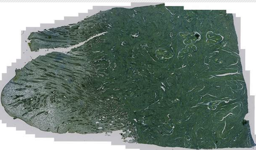 <p>What is this?</p>