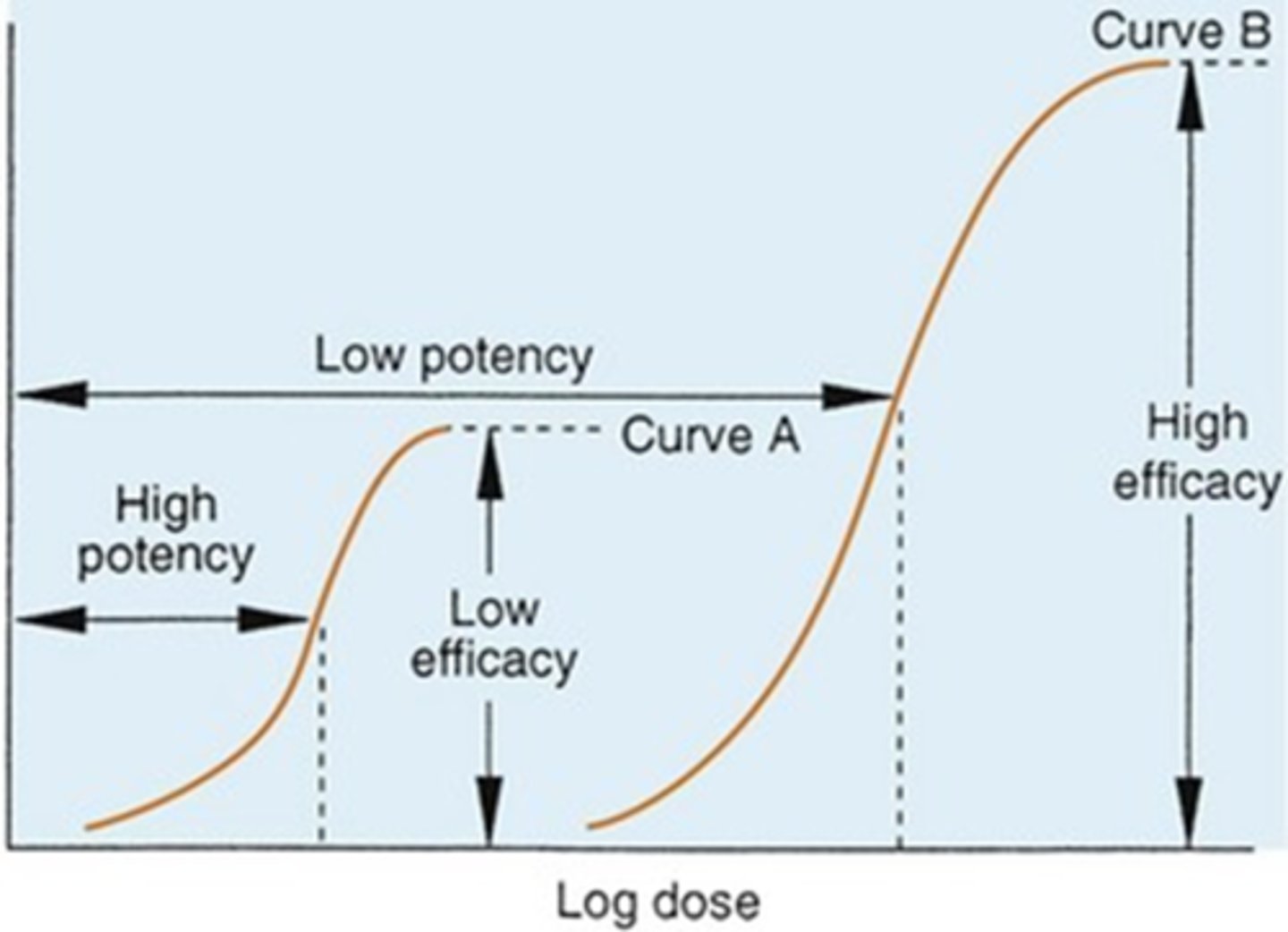 <p>the ability to produce a desired or intended result</p><p>determined by:</p><p>- type of interaction with the receptor (agonist vs antagonist)</p><p>- limitations on amount that can be administered</p><p>POTENCY DOES NOT EQUAL MAXIMUM EFFICACY</p>
