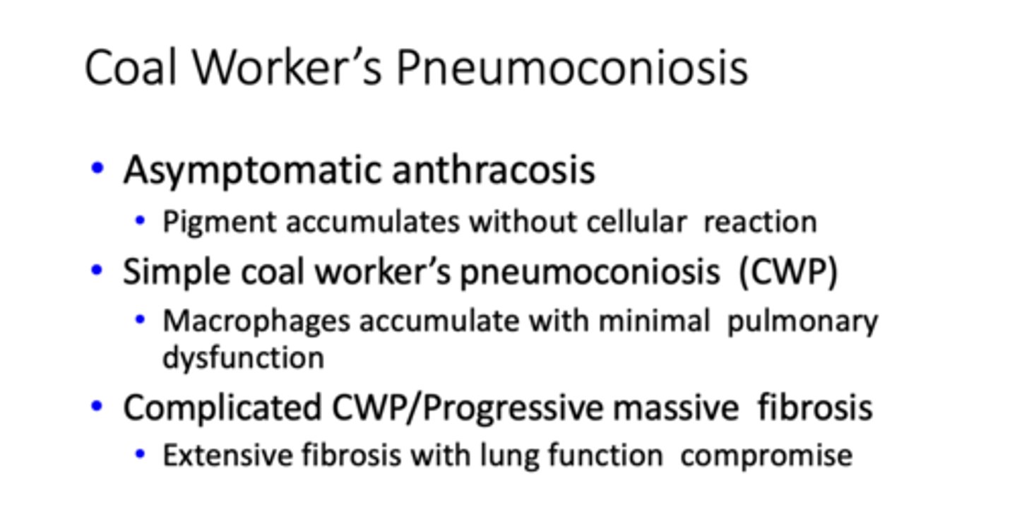 <p>Coal worker's pneumoconiosis</p>