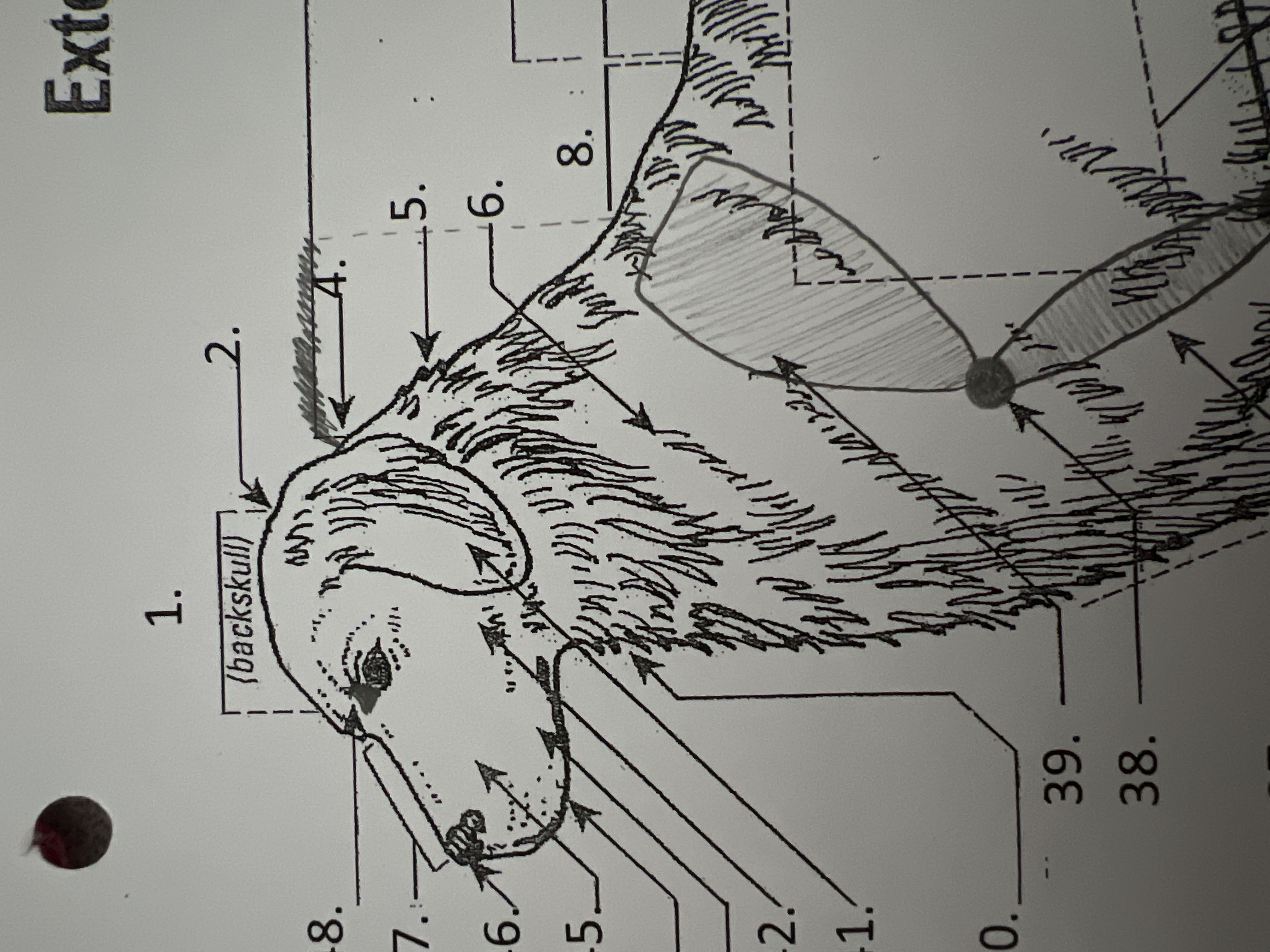 
6. \
