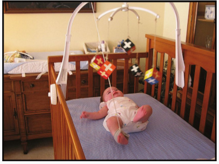 <ol><li><p>conditioning</p></li><li><p>language development</p></li></ol><p></p>