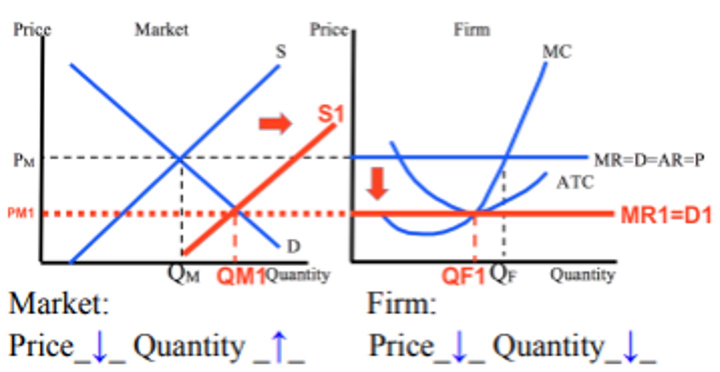 <p>market price and market quantity decreases</p><p>firm price decreases and firm quantity decreases</p><p>loss occurs</p>
