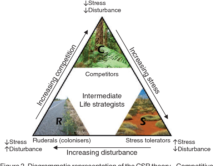 <p>classification scheme for plant life histories (based on stress and disturbances)</p>