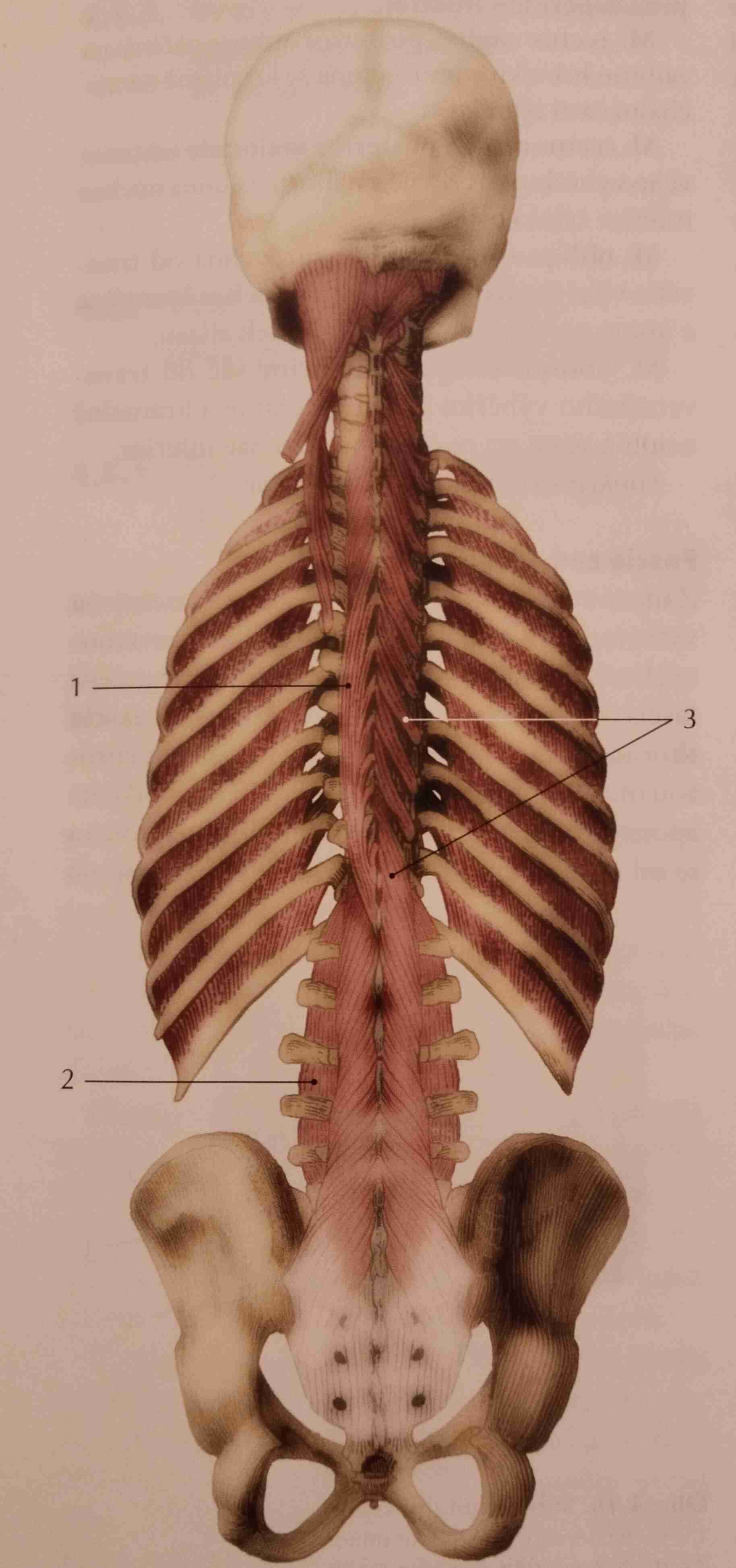 <p>3</p>