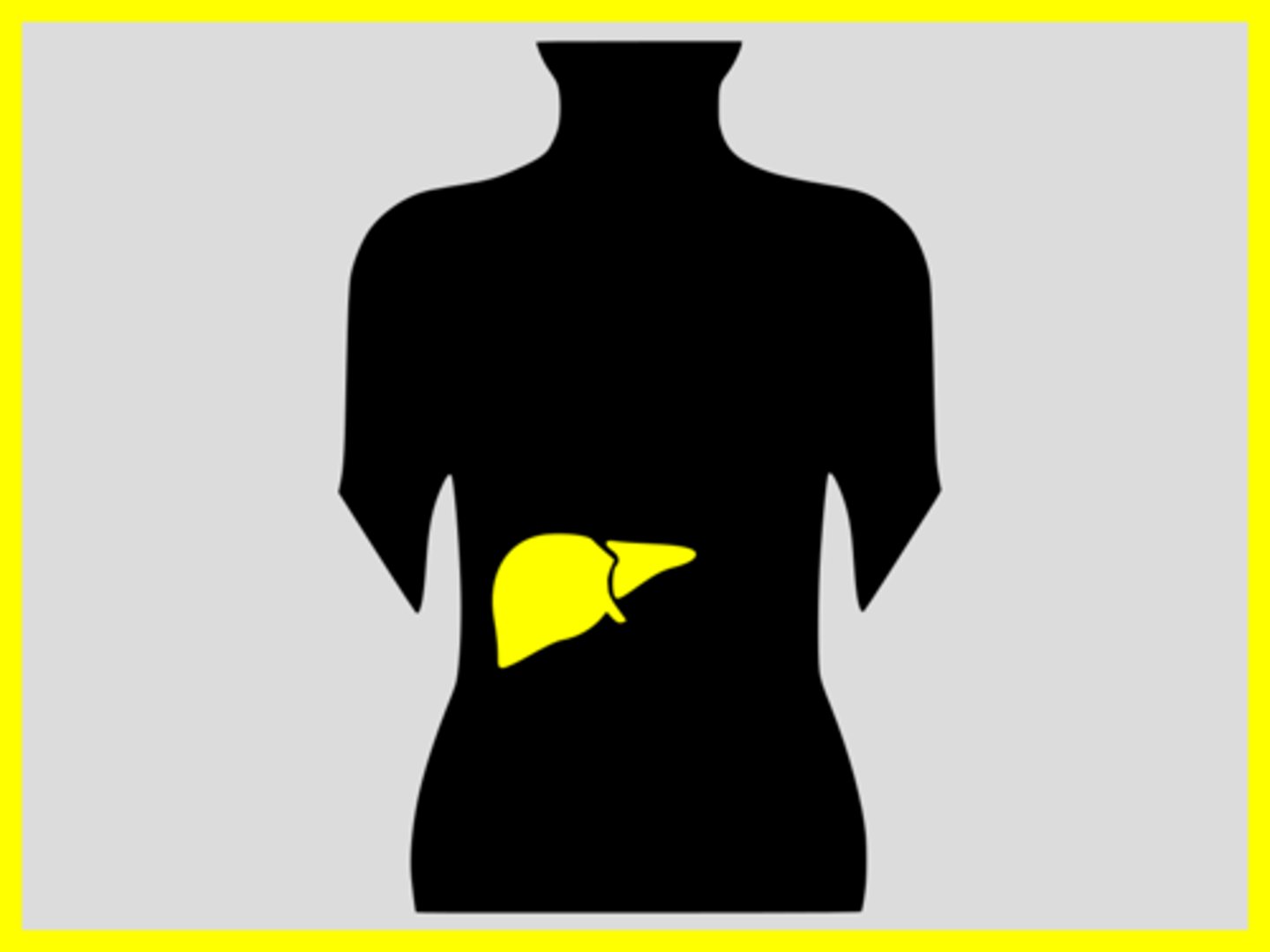 <p>liver cancer</p>