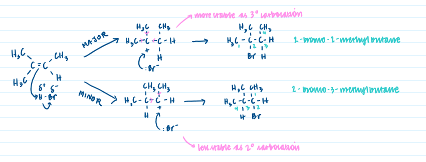 <p>Tertiary&gt;Secondary&gt;Primary - alkyl groups are electron-donating and push the electrons in their bond towards the (+)ve charge to stabilise it - use ‘That which as gets’ (in terms of hydrogens) + Markovnikov’s rule to determine which reaction pathway will give major product</p>