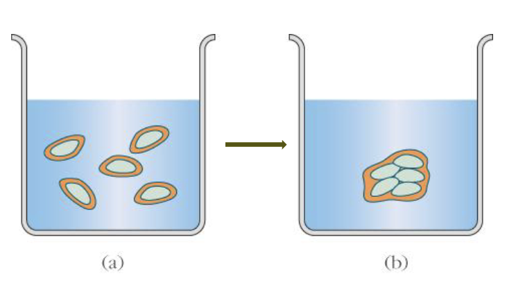 <p>Explain the following image</p>