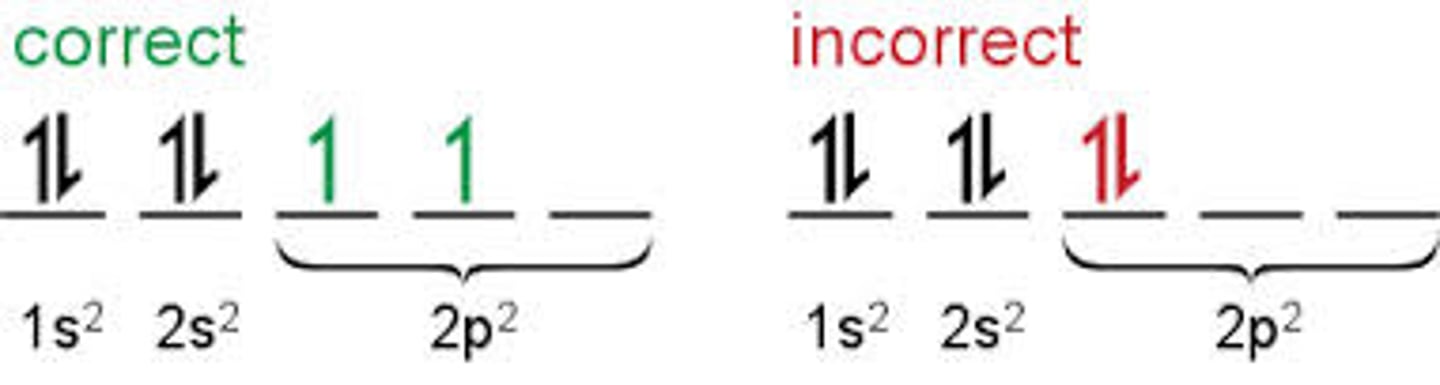 <p>Orbital's of equal energy are each occupied by one; electron before any orbital is occupied by a second; electron; All electrons in singly occupied orbital's must have the same spin state</p>