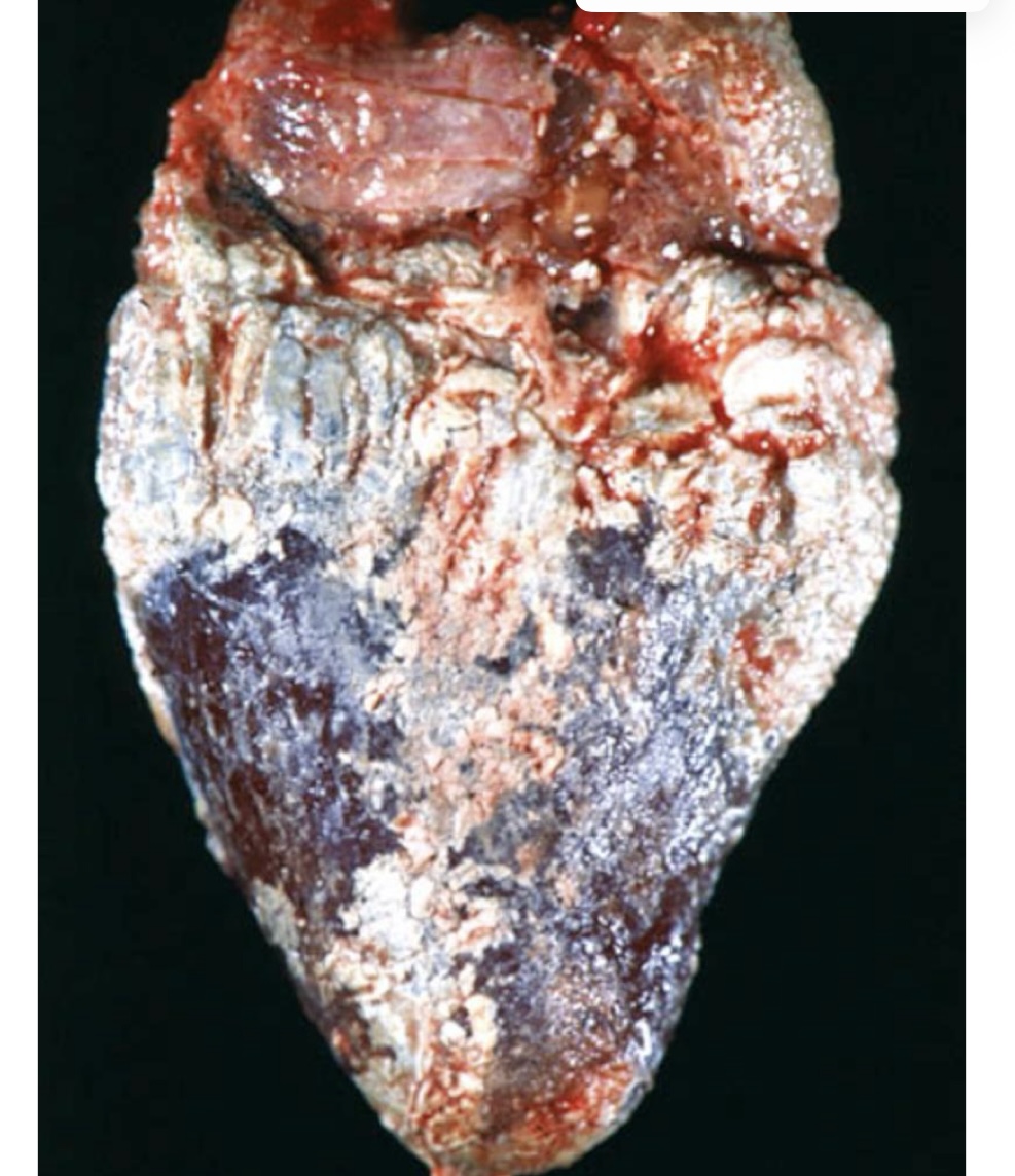 <p>what is this?</p>