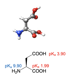 <ul><li><p>abbreviations: Asp, D</p></li><li><p>similar structure to aspargine, but on the gamma carbon, the attached NH2 is swapped for OH to become its current COOH</p></li></ul><p></p>