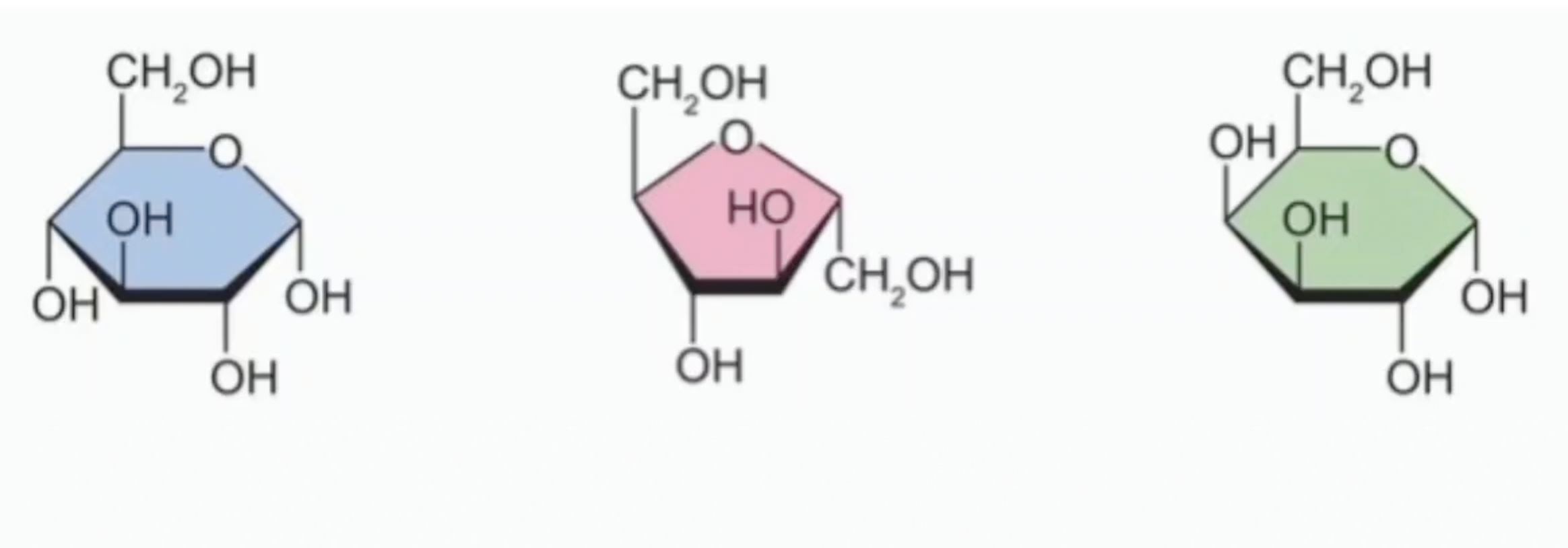 <p>Name the monosaccharides</p>