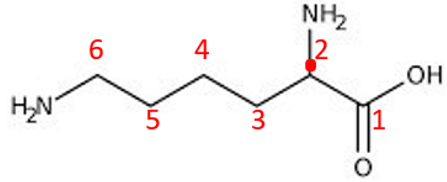 <p>ID this structure</p>