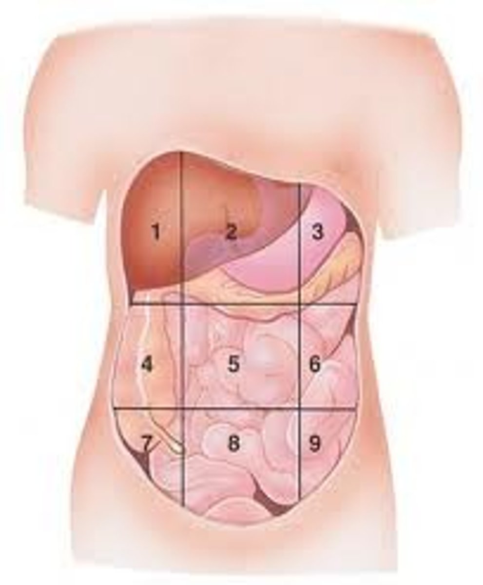 <p>Identify #4</p>