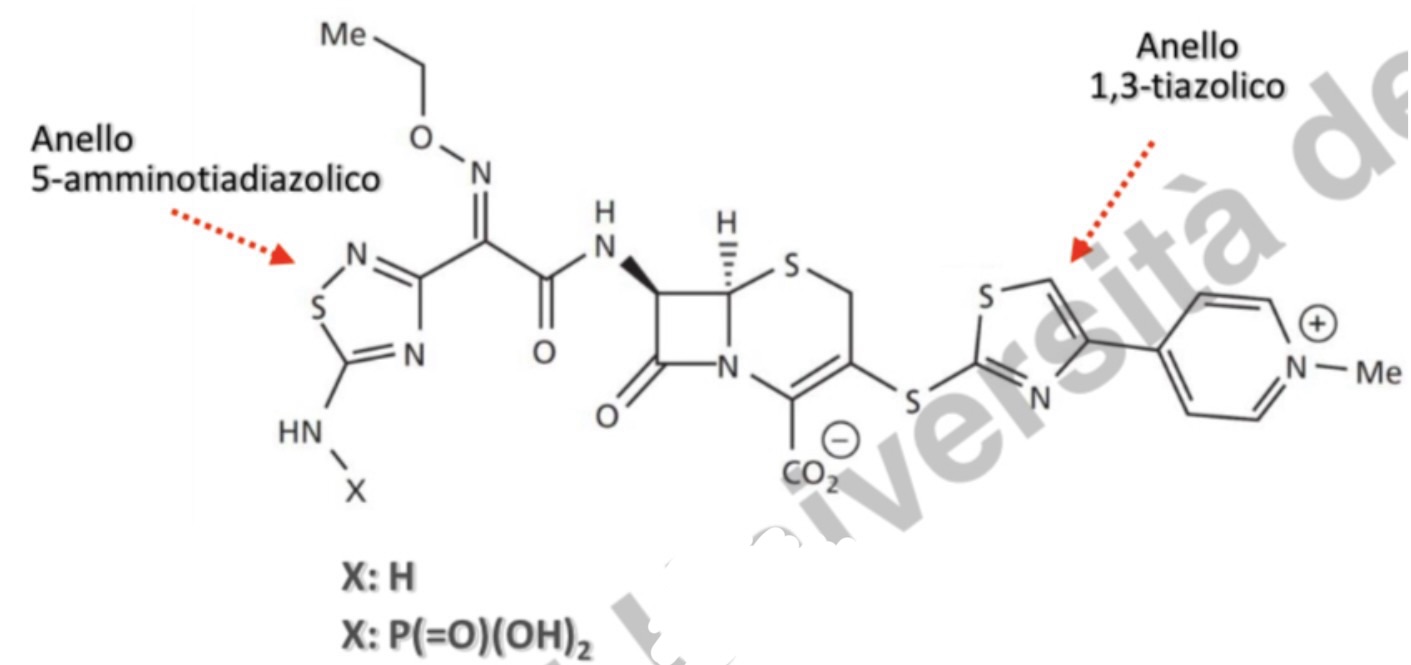<p>Riconosci la molecola</p>