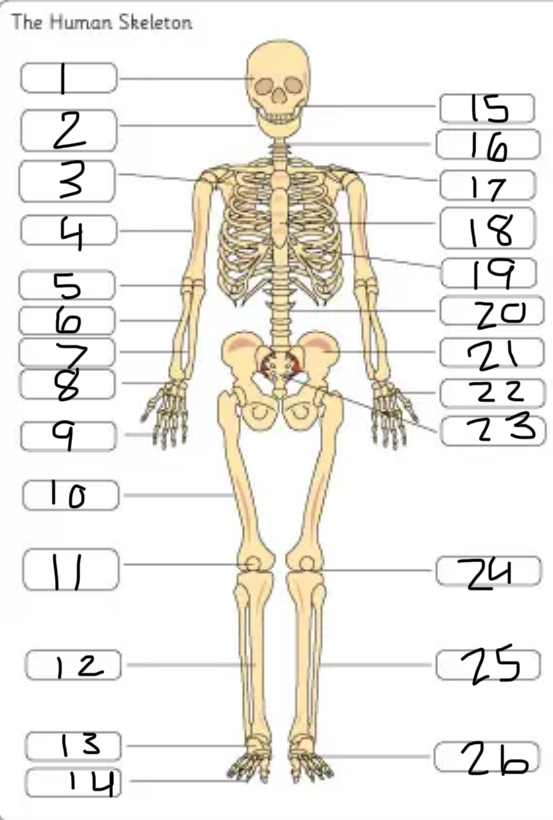 <p>what is #9</p>