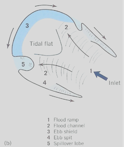 <p><span>An accumulation of sand on the shoreward side of an inlet</span></p>