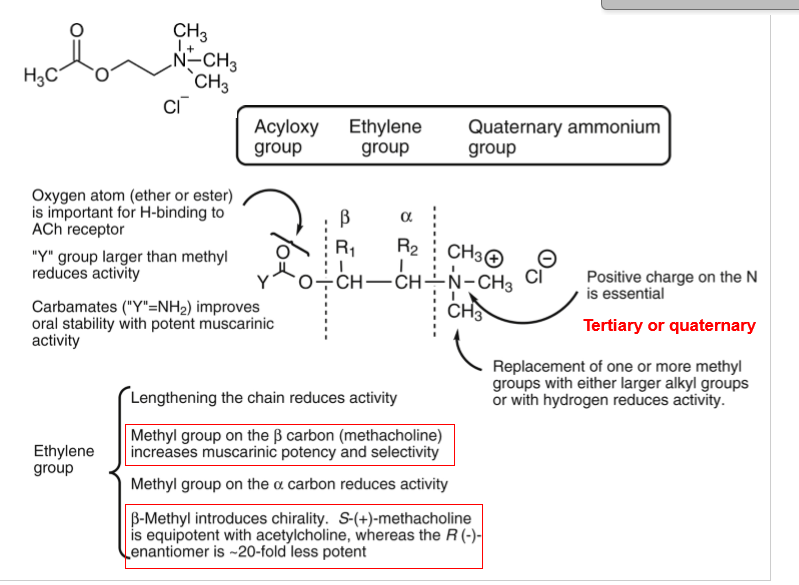 <p>SAR of Muscarinic Agonists</p>