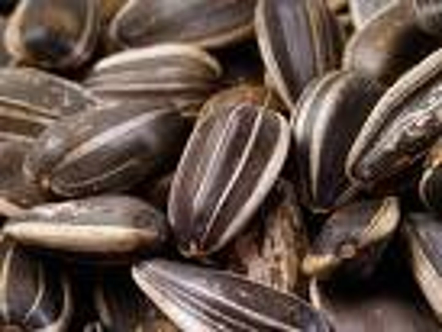 <p>seed, offspring</p>