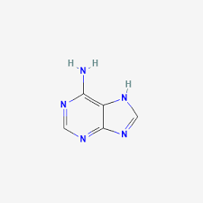 <p>what does adenine bond with</p>