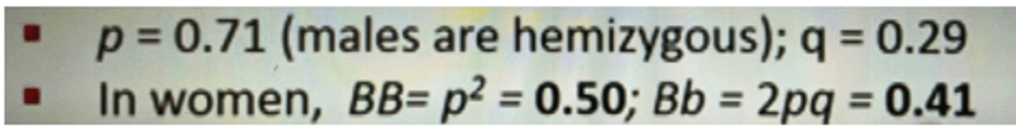 <p>1) Males</p><p>2) allele frequencies</p><p>3)</p>