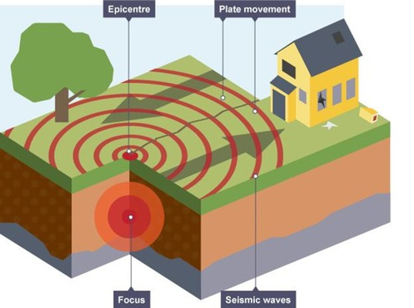 <p>The underground point where the earthquake originates.</p>