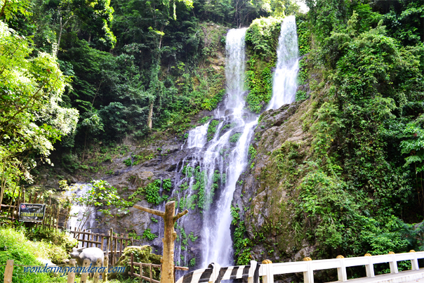<p>Tamaraw Falls (Oriental Mindoro)</p>