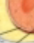 <p>what is this?</p>