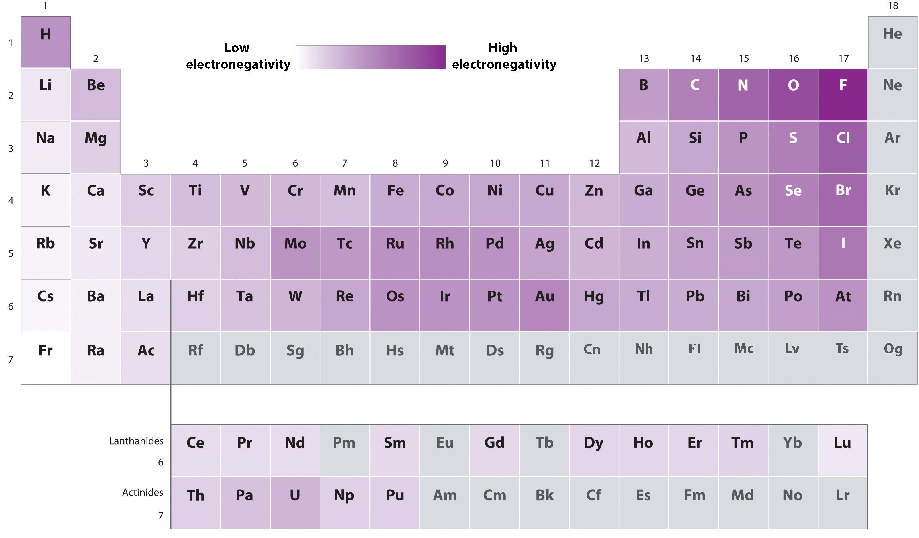 <ul><li><p>Electronegativity: Atom’s ability to attract bonding electrons.</p></li><li><p>Electronegativity varies across the periodic table: Bottom-left of the periodic table tends to be least electronegative, while the top-right tends to be more electronegative.</p></li><li><p><strong>Difference in electronegativity</strong> between two atoms determines bond type:</p><ul><li><p>Larger difference → less equal electron sharing.</p></li></ul></li></ul><p></p>