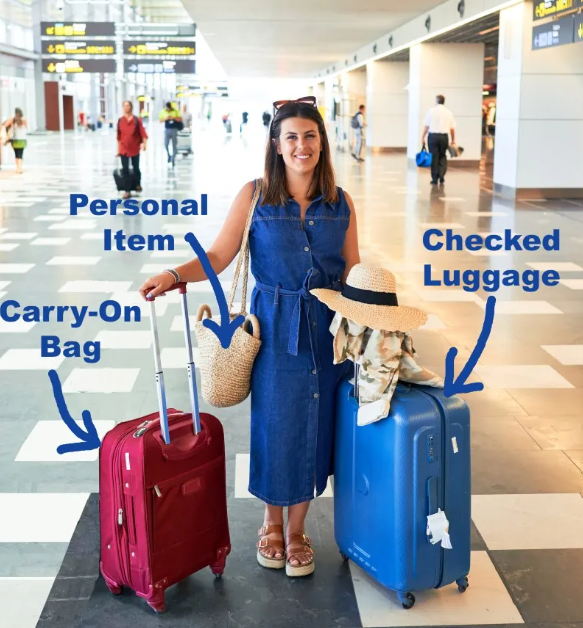 <p>Carry-on bag</p>